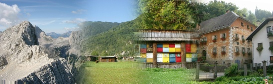 Slovenian Properties - Click here to go to the homepage